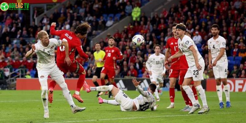 Bỉ Vs Liechtenstein: Nhận Định Ngày 19/11 8 Bỉ vs Liechtenstein: Dự đoán tỷ số thuyết phục Lukaku